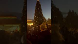 Original Christmas Tree Lighting 2022 Video #christmas #christmastreelighting #christmas2022