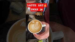 LATTE ART 🔥 easiest way to draw a beauty swan 🦢 #latte #baristadaily #barista #latteart