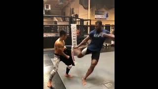 Francis Ngannou has the hardest leg kicks