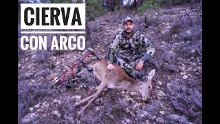 Bowhunting - Cierva Con Arco - Albacete