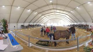 Celebrando la Tradición e Innovación: La XIII Feria Agroganadera y Comercial 'Comarca de Doñana'