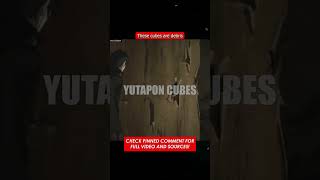 What Are Yutapon Cubes?