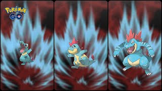 PokemonGO: Shadow Totodile into Shadow Croconaw & Shadow Feraligatr