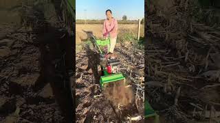 Part 803 Rotary tillage weeding and furrowing diesel four-wheel drive weeder rotary tillage machine.