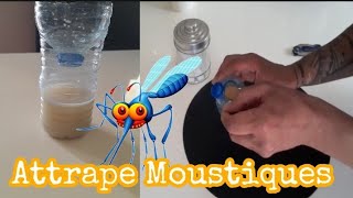 Astuce Attrape Moustiques - Naturelle et Facile à Faire