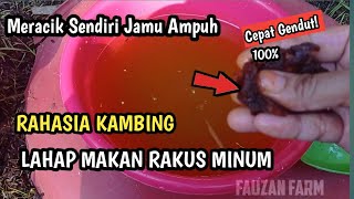 Jamu Kambing Agar Lahap Makan dan Rakus Minum