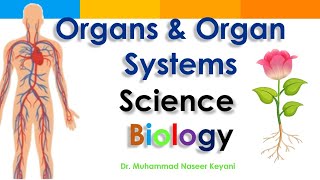 Organ, Organ System and Levels of cellular organization. Easy, Interesting and engaging Lesson.