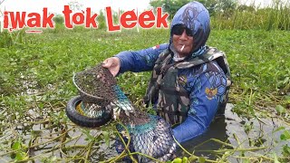 Mancing santai || Waduk Gajah lagi maseee || Spot viral akhir oktober 2022