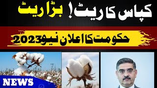 Cotton Price in Pakistan Today 2023 Phutti Rates in Market| Kapas rate in Pakistan 2023