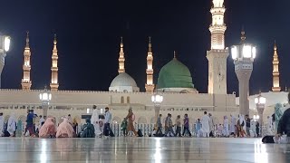 Masjid E Nabwi | Rabiul Awal | 2024