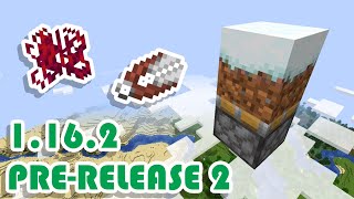 Minecraft 1.16.2 Pre-Release 2 No More Impossible Snowy Grass! | Snapshot Summary