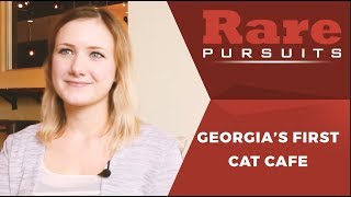 Java Cats Cafe's surprising owner | Rare Pursuits