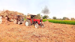 Messay Farguson 240 and Nh 640 Pull Hevy Loaded Trolly // Tractor Info