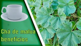 posso beber o chá de malva?? pra que serve ??, como fazer??..