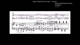 A Guided Tour of Beethoven's B♭-major Piano Trio, Opus 97, "Archduke"