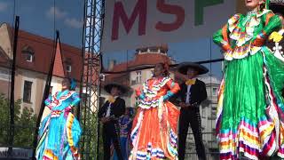 MSFF Pszczyna 2019 🇲🇽 Meksyk 🇲🇽 #2