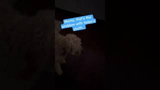 Doodle Doggie Tales- Part 75 “Cue the Lights”#shortvideo #shortsfeed #dogs #brothers #shorts #party