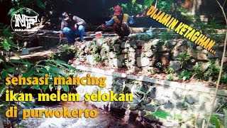 Sensasi Mancing Ikan Melem Selokan di Purwokerto #mancingselokan #microfishing