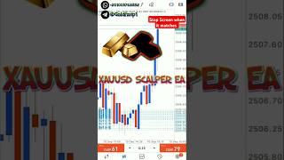 #2 XAUUSD SCALPER EA MT4 2024 FREE DOWNLOAD (September, 10)