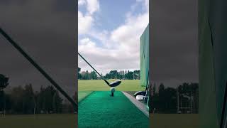 Ball flight goals