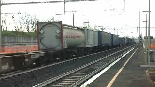 Stazione Torricola  Cargo Nero