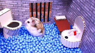 Hamster foge do labirinto de adesões para animais de estimação na vida real