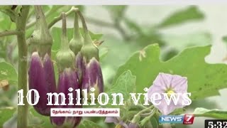 Eggplant in tamil