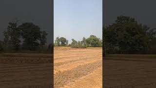 Village khet vlogs 🏘️🏡🏠🏡 #shorts #village