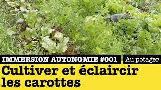 Immersion Autonomie : Cultivez et éclaircir ses carottes au potager bio