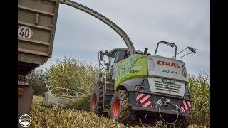 Mais häckseln//Claas Jaguar/Xerion, Case Maxxum/CVX/Magnum/Steiger, Unimog U2100//LU-Daue&Partner