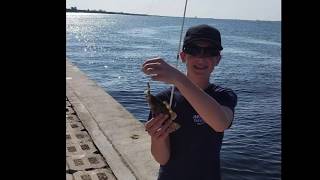 Fort Myers Fishing