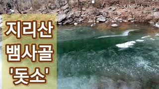 지리산 뱀사골계곡 '돗소', 멧돼지가 목욕을?