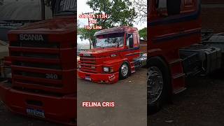 SCANIA 113 H 360 Felina Cris #felina_cris_oficial