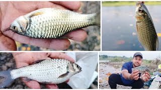 talapia/silver fish jk fishing 91 #hunting #river #jk #fishing