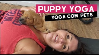 Yoga com pet: você já conhece?