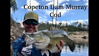 Copeton Dam Murray Cod