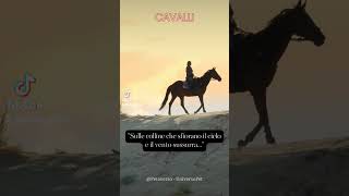 Sulle colline che sfiorano il cielo e il vento sussurra... #cavallo #animali #aforismi #horses