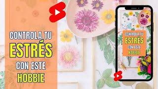 🌷Controla tu ansiedad y estrés con este pasatiempo relajante🌷 El arte de las Flores SECAS. #diy