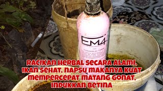 RACIKKAN HERBAL,MENCEGAH/MENGOBATI SEMUA JENIS PENYAKIT IKAN DAPAT MEMPERCEPAT MATANG GONAT INDUKKAN