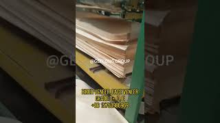 Nhà máy sản xuất veneer bạch dương ở Trung Quốc, veneer mặt loại C, D+,D, E