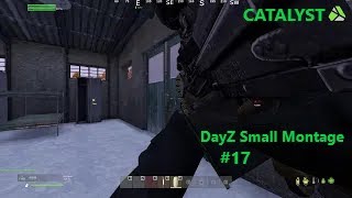 DayZ small montage #17