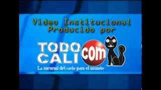 Distribuciones HoyosTools S.A. - Institucional y Spot  para Televisión 2012