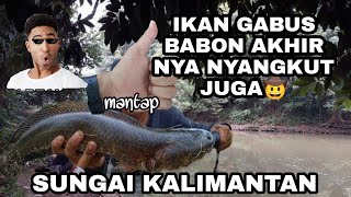 PASANG BANJUR  DAPAT GABUS BABON TEMPAT BLOK C KECAMATAN BATU AMPAR KAB TANAH LAUT