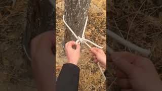 Simple hammock knot Basit hamak düğümü