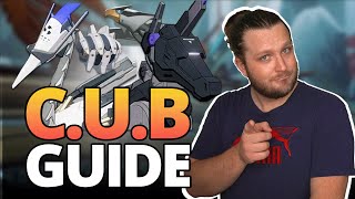 CUB Details You Need To Know!  [Punishing: Gray Raven]