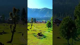 Arrange Kel Neelam  Valley Azad Kashmir #explorepakistan #2024 #travel