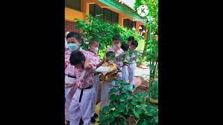 Mengenal Bentuk-bentuk Daun IPAS Kelas 4 #kurikulummerdeka