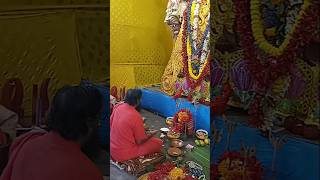 Jagadhatri Pujo / শুভ জগদ্ধাত্রী পুজো / #shorts #travel #trending