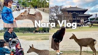 Visiting Deer Park in Japan | Nara Park, Todaiji Temple, souvenirs and fun with kids | NARA VLOG 🇯🇵