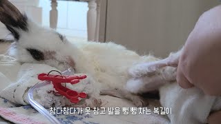 토끼의 엉덩이를 씻었어요.